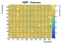 Thumbs/FASERCal_prototype/202608_data_analysis/HG_gain_results.png